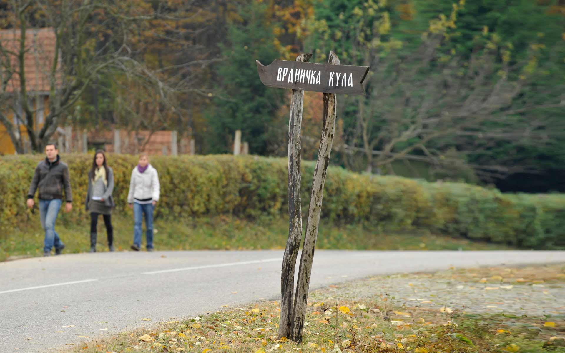 vila izvor, banja vrdnik, smestaj, apartmani